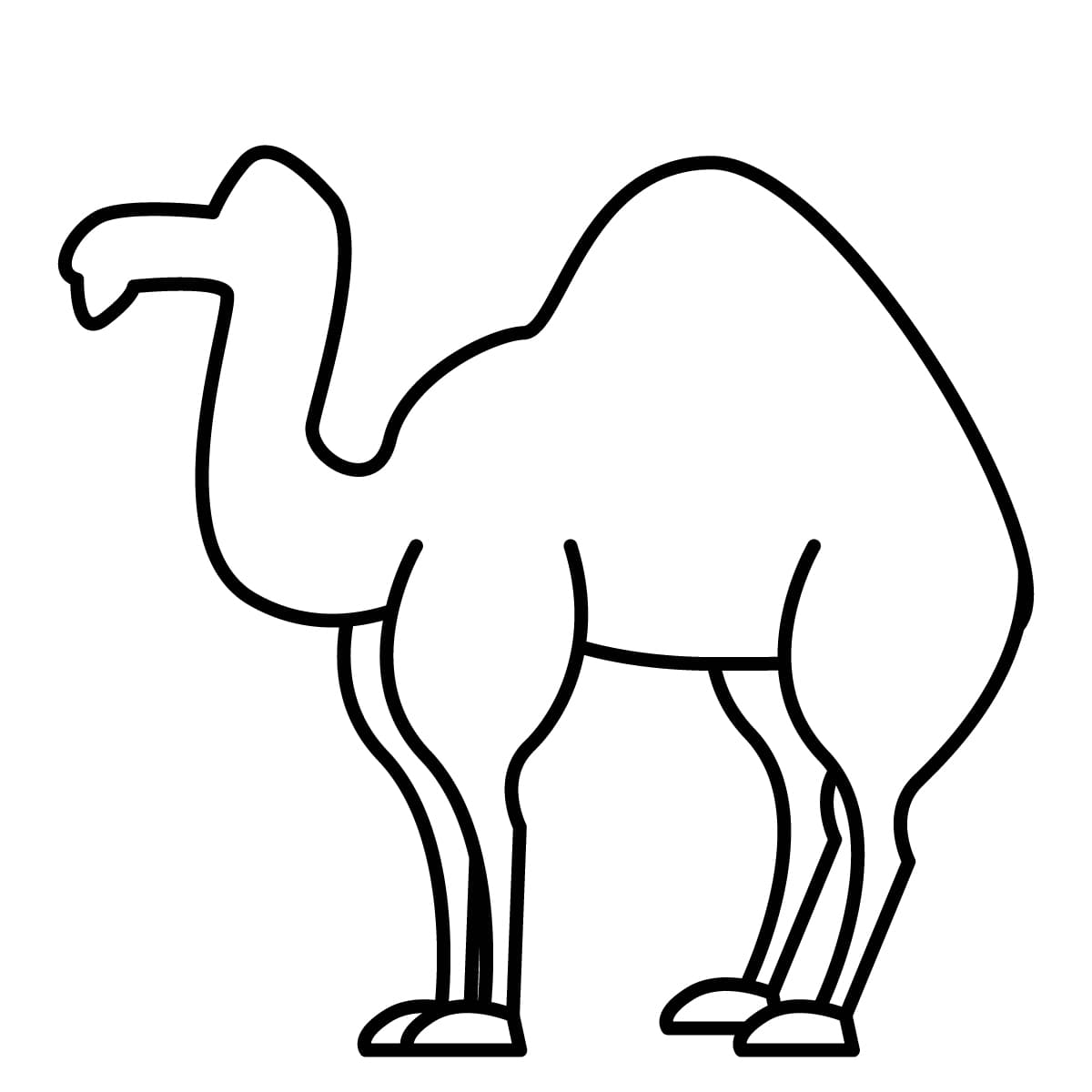 Dibujo de camello para colorear e imprimir - Dibujos y colores