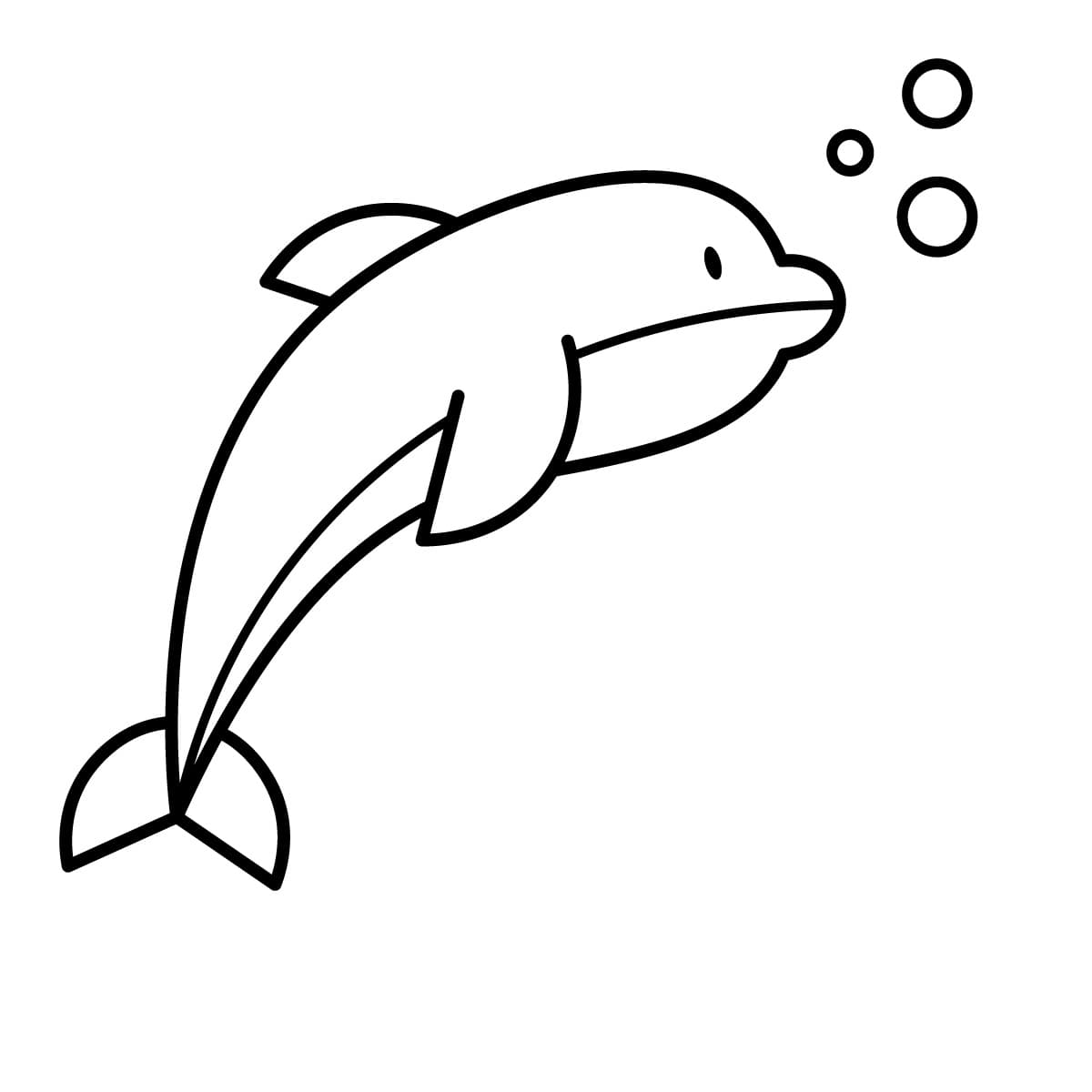 Imagen de delfin para colorear